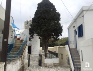 Κυνίδαρος
